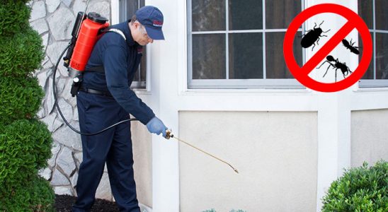 Kayseri Gümüşkurt İlaçlama böcek ilaçlama ve haşere kontrolü — ilaclama-tr.com